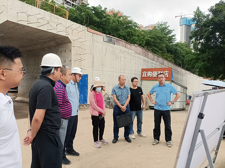 6月11日梧州市堤防管理处主任羊凯与自治区洪水防御工作组调研河西堤备汛情况.jpg